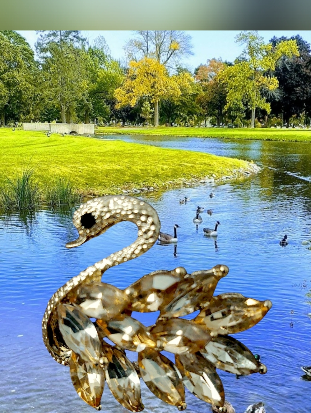 Nevette Champagne Rhinestone Swan Brooch